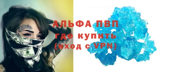 шишки Бабаево