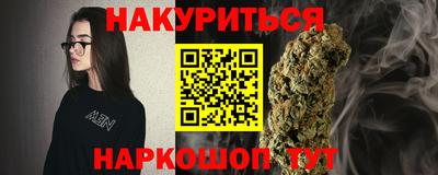 индика Гай