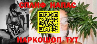 индика Гай