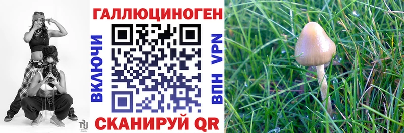 Псилоцибиновые грибы прущие грибы  закладки  Новокузнецк 