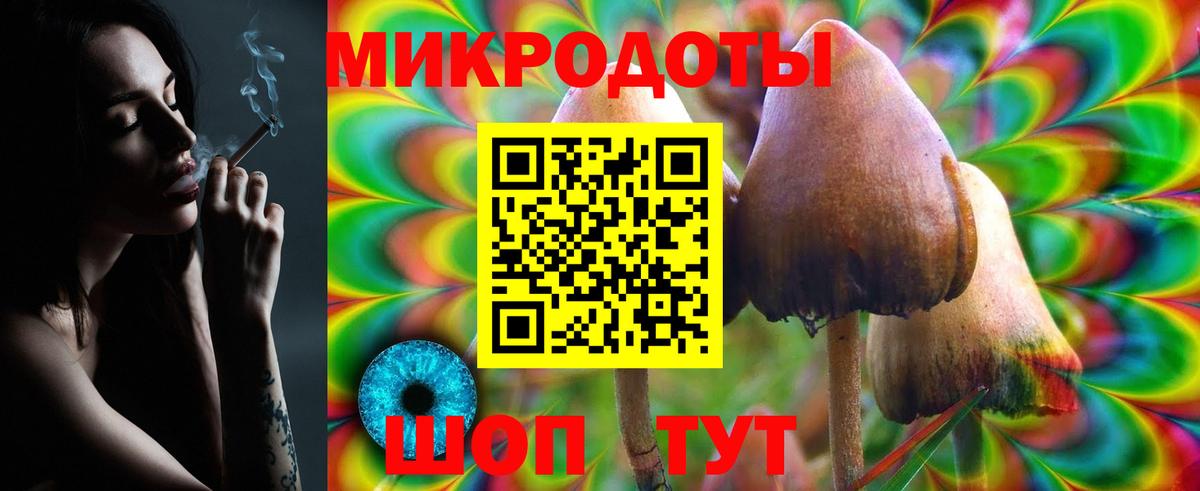 Псилоцибиновые грибы MAGIC MUSHROOMS  Вход с VPN  Новокузнецк 